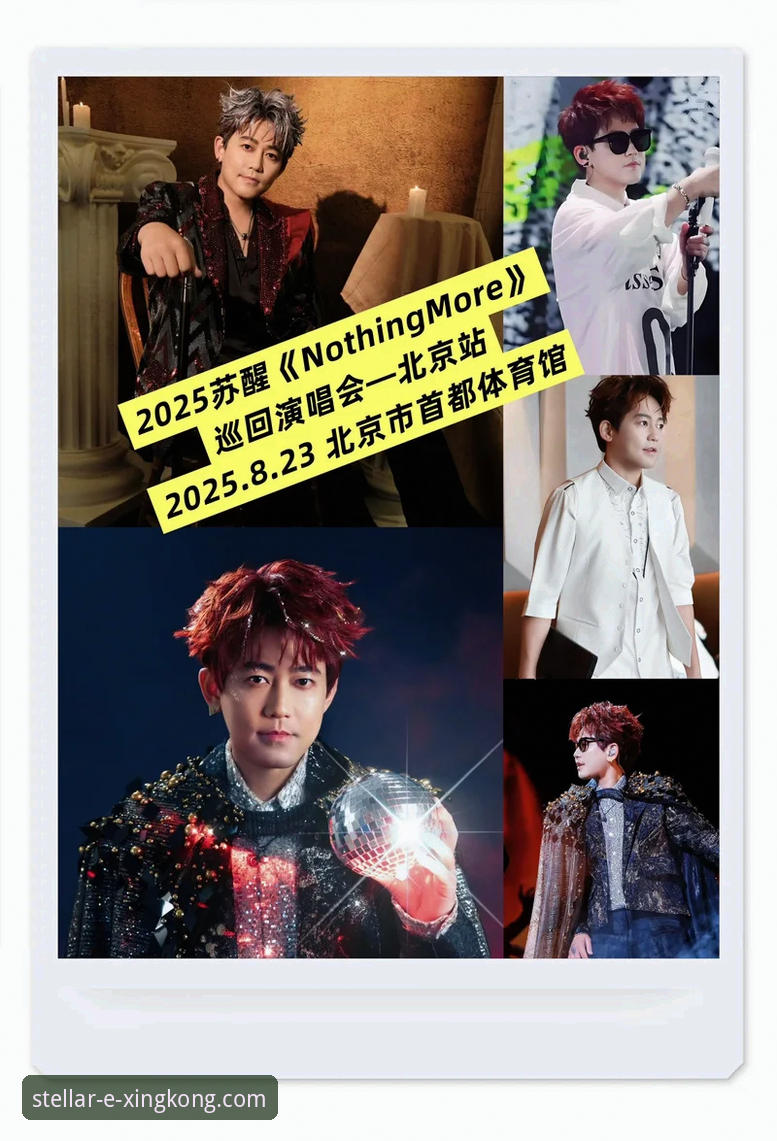 星空体育平台注册对比详解：新手选择指南